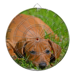 Dart Board - Customized