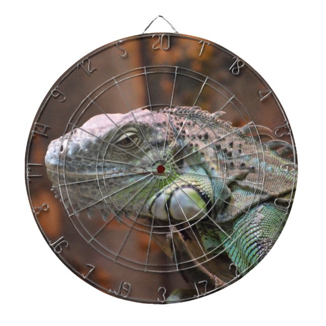 Dart Board with colourful Iguana lizard (Front)