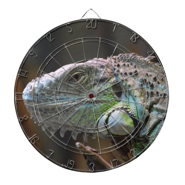 Dart Board with head of colourful Iguana lizard (Front)