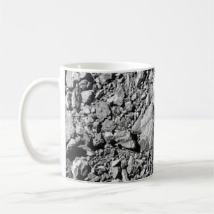 DART Dimorphos Asteroid Moonlet Surface Coffee Mug