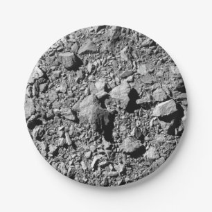 DART Dimorphos Asteroid Moonlet Surface Paper Plate