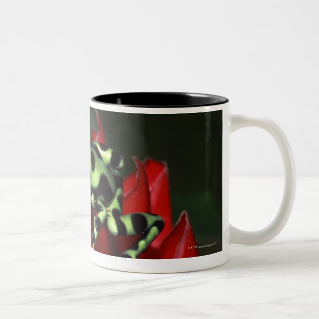 Dart frog 2 Two-Tone coffee mug (Right)