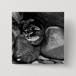 Dart Frog Friends B+W 2 Inch Square Button