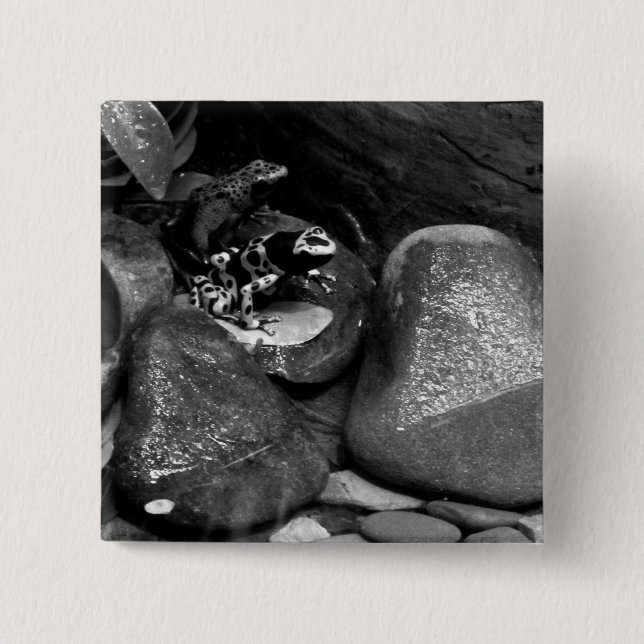 Dart Frog Friends B+W 2 Inch Square Button (Front)