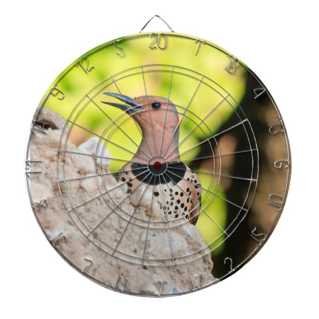 Dartboard with picture of a northern flicker (Front)