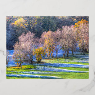 Dartmoor Morning Frost  Foil Holiday Postcard