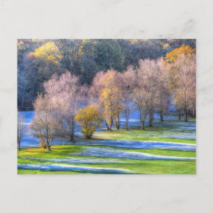 Dartmoor Morning Frost  Postcard