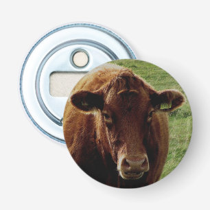 Dartmoor South Devon Cow Looking Bottle Opener
