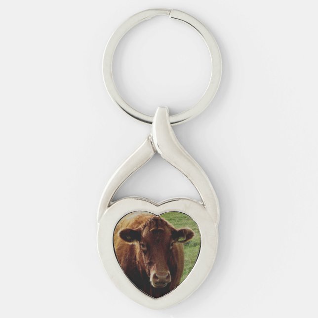 Dartmoor South Devon Cow Looking Keychain (Front)