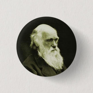 darwin 1 inch round button