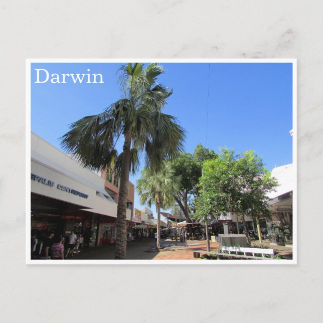 darwin centre postcard (Front)