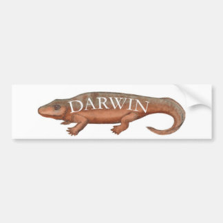 Darwin Evolution Tetrapod Bumper Sticker