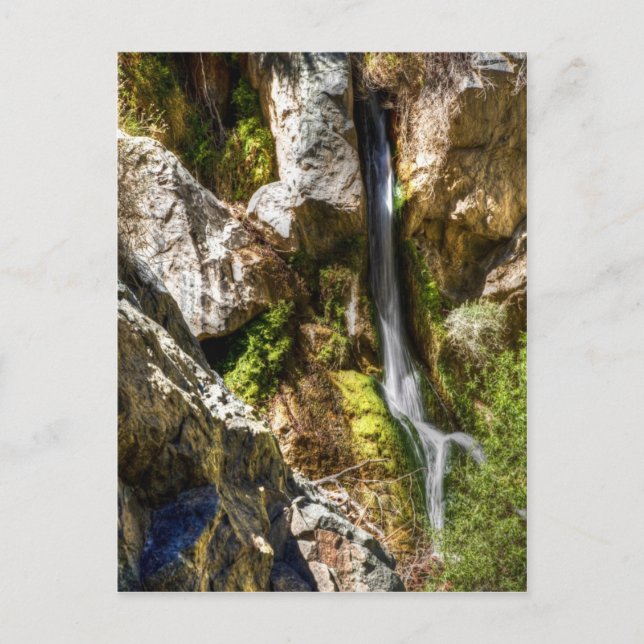 Darwin Falls Postcard (Front)