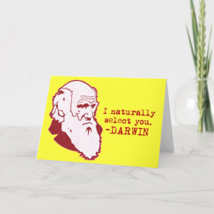 Darwin Holiday Card