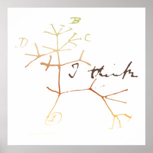 Darwin, I think tree of life Poster