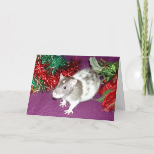 Darwin in the tinsel holiday card