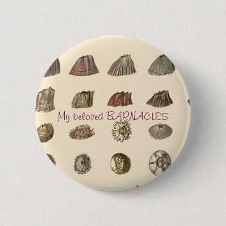 darwin-monograph-barnacles, My beloved BARNACLES 2 Inch Round Button