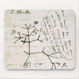 Darwin Mouse Pad