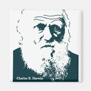 Darwin Picture. Magnet
