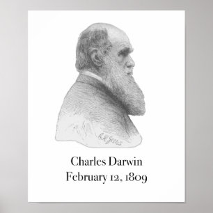 Darwin Poster