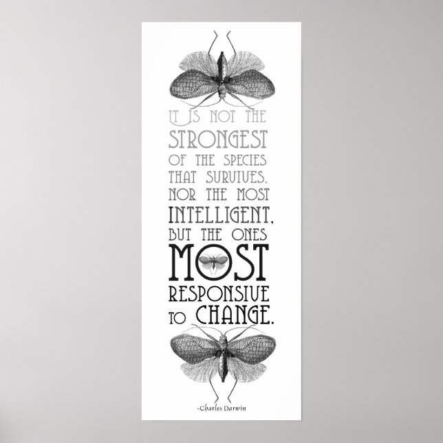 Darwin Quote Evolution Poster (Front)