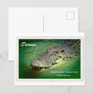 Darwin Territoire du Nord - Carte postale de croco