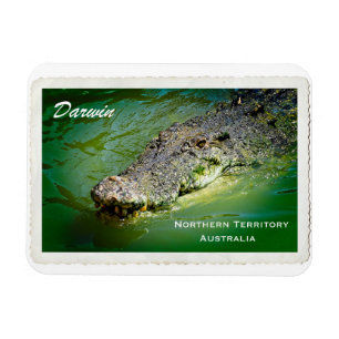 Darwin Territoire du Nord - Magnet de crocodile