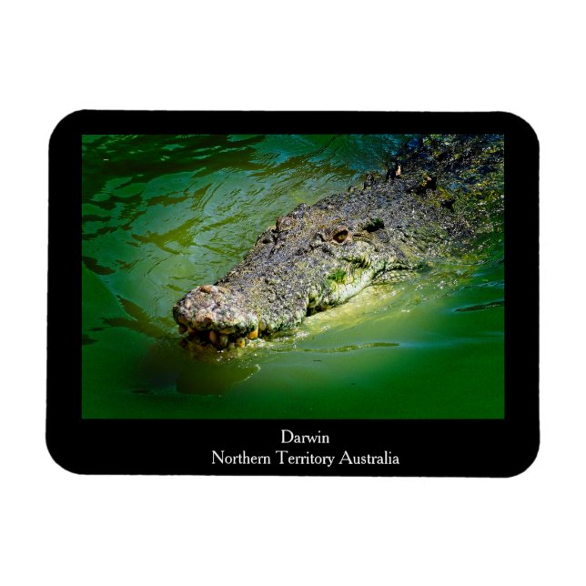 Darwin Territoire du Nord - Magnet de crocodile (Horizontal)