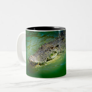 Darwin Territoire du Nord - Mug de crocodile