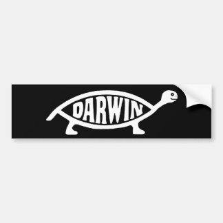 Darwin Turtle/Tortoise Bumper Sticker