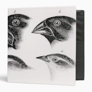 Darwin's bird observations binder