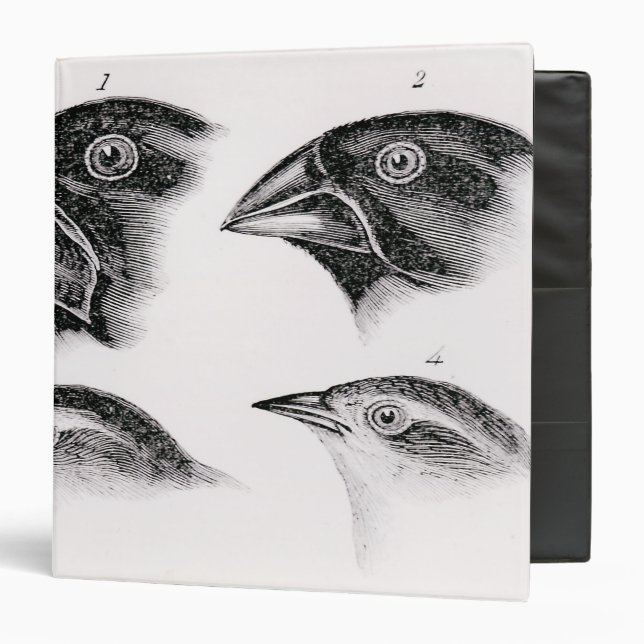 Darwin's bird observations binder (Front/Inside)