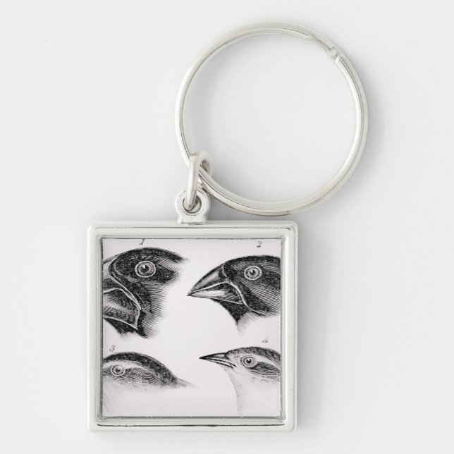 Darwin's bird observations keychain (Front)