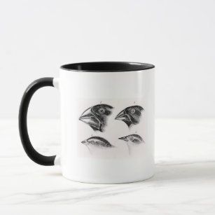 Darwin's bird observations mug