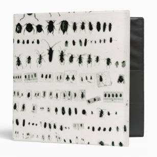 Darwin's insect collection binder