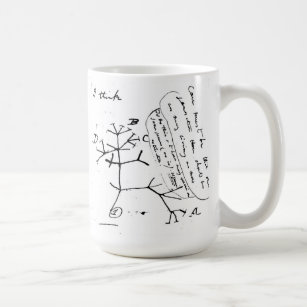 Darwin's mug