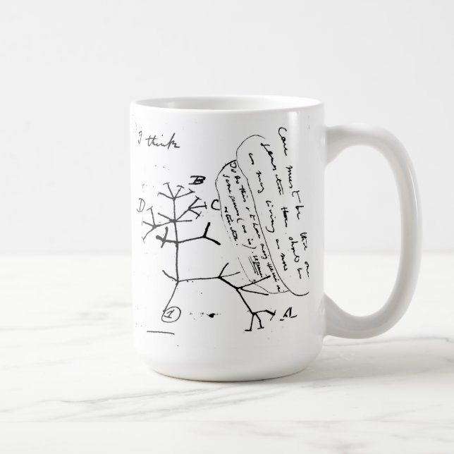 Darwin's mug (Right)