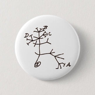 Darwin's Tree 2 Inch Round Button
