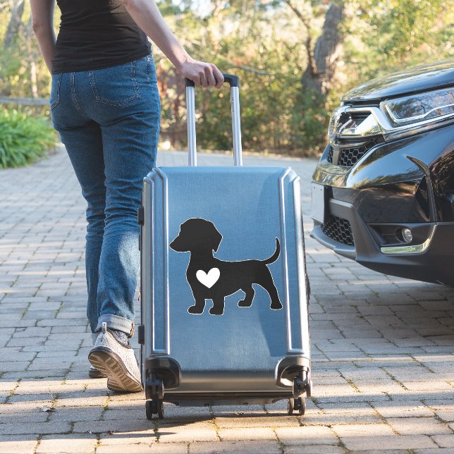 Daschund       (Suitcase Insitu)