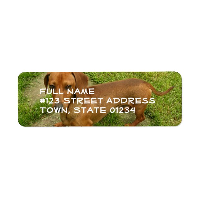Daschund Adresse de retour Étiquette de messagerie (Devant)