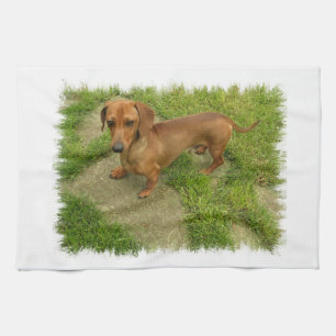 Daschund Kitchen Towel