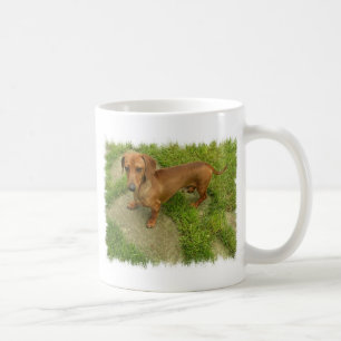Daschund Mug