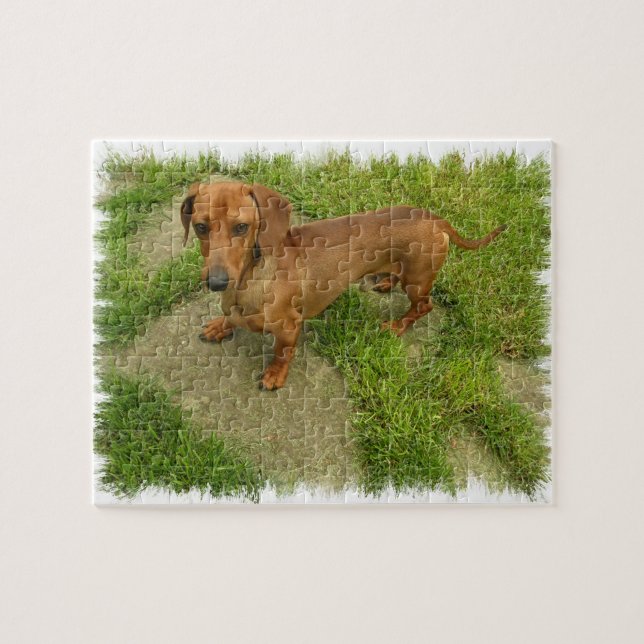 Daschund  Puzzle (Horizontal)