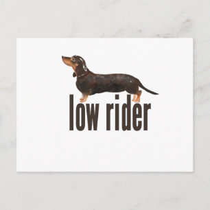 Daschund Sausage Dog Postcard