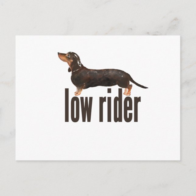 Daschund Sausage Dog Postcard (Front)