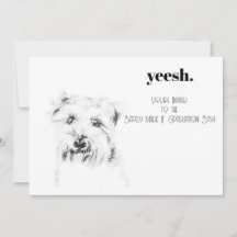Dash the Dog