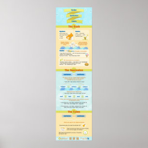 Dashes, semicolons and colons poster