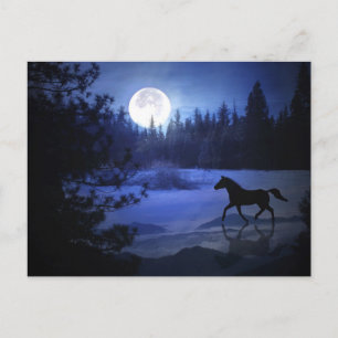 Dashing à travers le cheval de neige carte postale