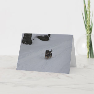 Dashing determined puppy card