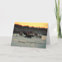 Dashing Through the Snow